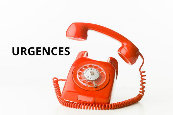 Les Urgences